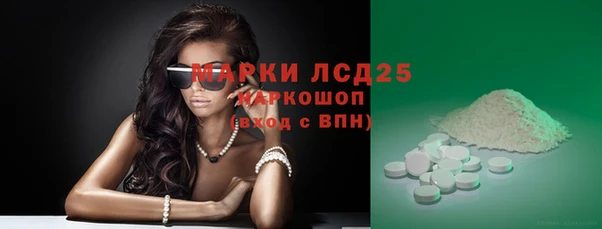 хмурый Алзамай