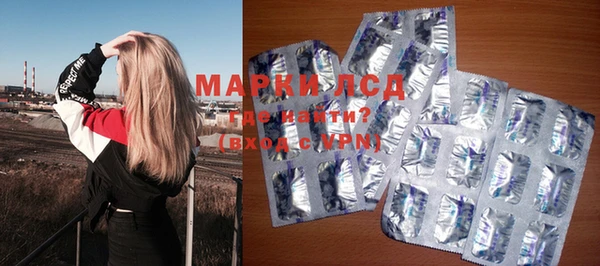 хмурый Алзамай